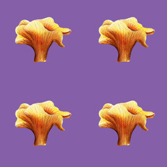 pattern with chanterelles