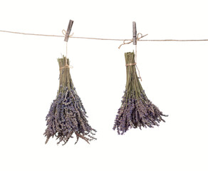 Bunch of lavender flowers tied hanging on a rope isolated on white