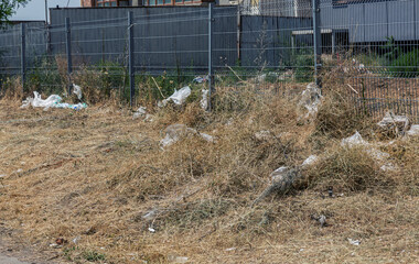 Abandoned garbage pollutes nature. The concept of the environmental problem of nature trash...