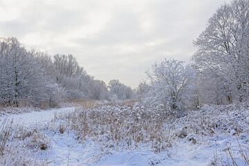 bourgoyen nature reserve i the snow, Ghent, Flanders, Belgium