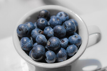 fresh bule berries in a bowl