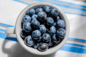 fresh bule berries in a bowl