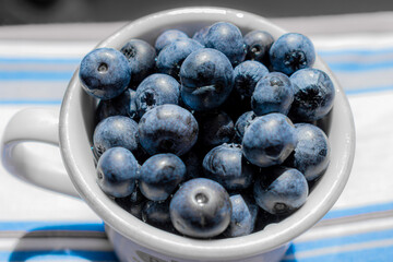 fresh bule berries in a bowl