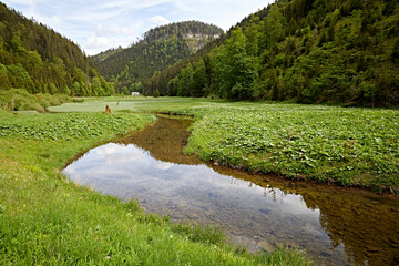 peaceful river reflection landscape nature