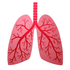 Vector illustration of respiratory disease. Red inflamed lungs on white background.