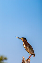 paisajes de la península de yucatán monumentos y playas