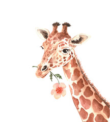 cute giraffe with a flower in his mouth, closeup watercolor illustration © Lana