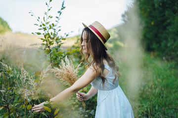 Beautiful girl in a board and hat collects flowers. The girl collects a bouquet of dried flowers. Brunette girl among the green tall grass.