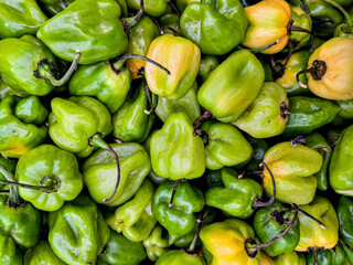 comida desayuno almuerzo y cena de paseo en Yucatán
