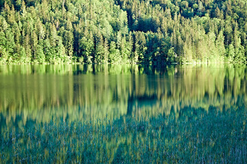 tranquil lake reflection landscape wood sky