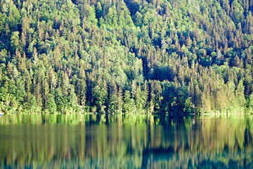 peaceful lake reflection landscape nature
