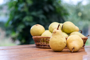 Yellow pears on the wooden table from the top