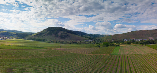 With the bike on the cycle path through the countryside along the river Moselle in Rhineland-Palatinate from Trier to Koblenz in summer