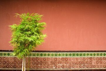  tree on red background with tiles in a temple in Singapore