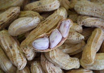 Peanut good natural sources of protein and healthy snacks for weight loss. Peanut on white background
