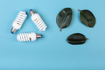 Three leaves of ficus and Three Energy saving lamp in shape eco green energy recycling isolated on the blue, caption for text.