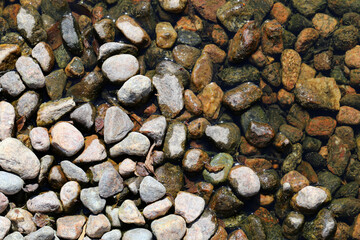 Wet pebble stones in a closeup. Colorful texture image.