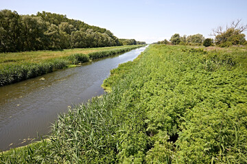 peaceful river green landscape nature