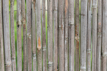 canne bambu texture canniccio