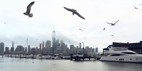 Fototapeta na wymiar Panoramic view of Manhattan skyline with gulls . New York. USA.
