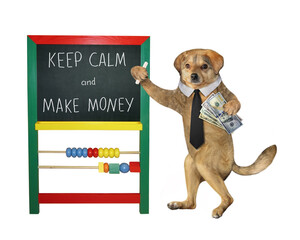 The beige dog teacher in a black tie with a piece of chalk and dollars in his paws is standing near...
