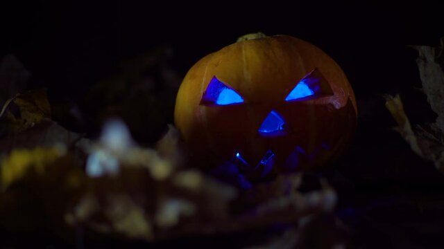 halloween carving pumpkin on a leafs. shining Jack-o'-lantern. Looping Cinemagraph. Still picture, moving light