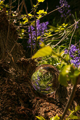 Fototapete bei efototapeten.de bestellen   