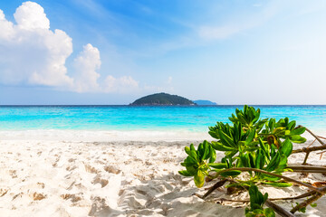 Beautiful beach and blue sky in Similan islands, Thailand.