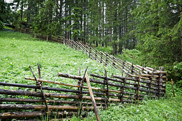 forest wooden fence meadow landscape