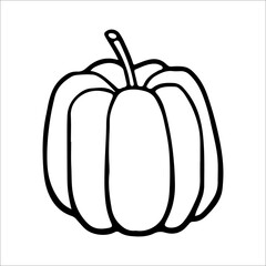 Vector illustration of a pumpkin isolated on white background.