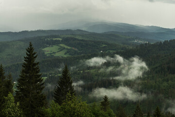 fog in the mountains