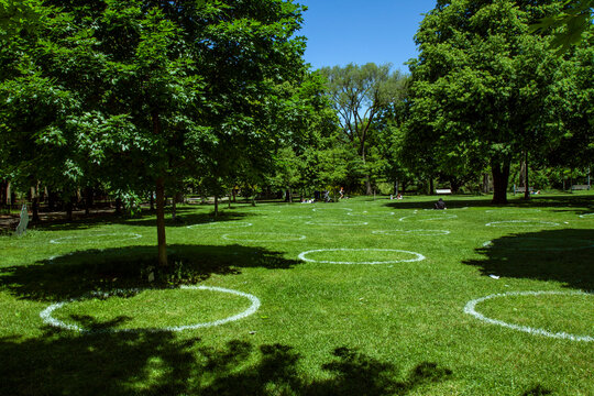 Social Distancing Circles In Park Trinity Bellwoods Toronto Covid 2019