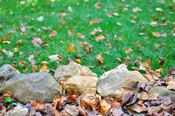 Rock wall with autumn leaves on grass