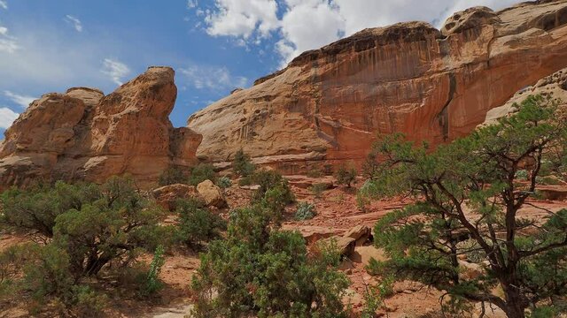 Sunny view of the Hickman Bridge of Capitol Reef National Park