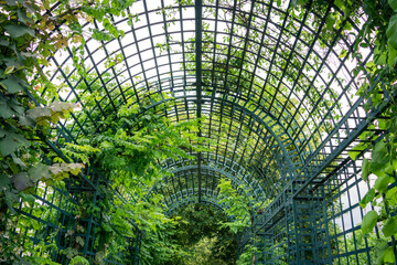 green trellis tunnel in the park