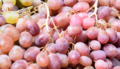 Background of red, black and green grapes in a tray on the market.