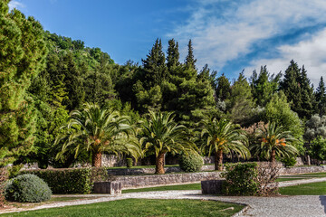 Obraz premium Landscaped garden near Famous Sveti Stefan Island. 6 kilometers southeast of Budva. Montenegro.