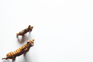 Toy tiger. Isolated on white background.