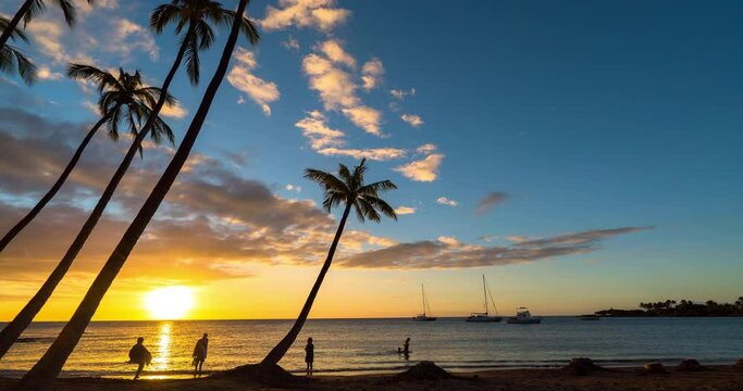 Lockdown time lapse shot of people by silhouette palm trees at beach against sky during sunset - Big Island, Hawaii