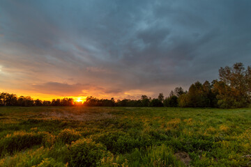 colorful sunset over the Polish meadow, marshes