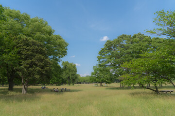 晴天の公園