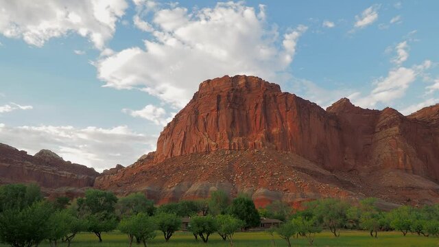 Beautiful Orchard trees along the Scenic drive of Capitol Reef National Park