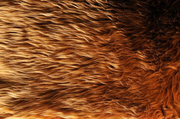 Hairy fabric