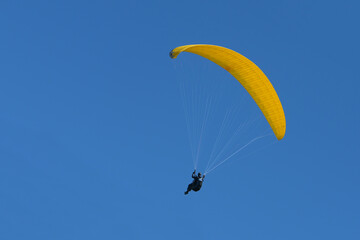 Paraglider pilot with a yellow glider is flying in the clear blue sky, recreational and competitive...