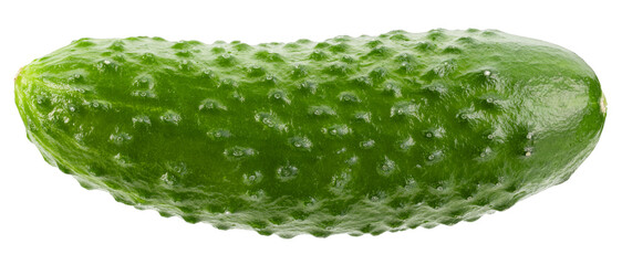 Cucumber isolated on white