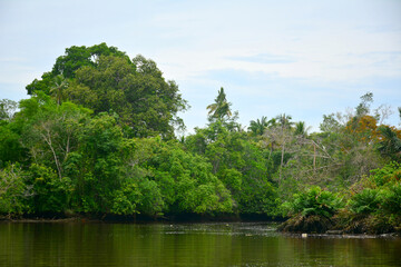 Klias River in Sabah, Malaysia