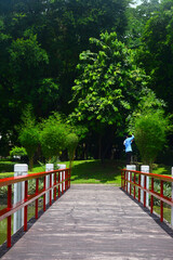Bridge at Japanese garden inside Rizal park in Manila, Philippines