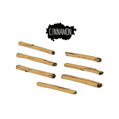 Hand drawn sketch style cinnamon. Color illustration. 
