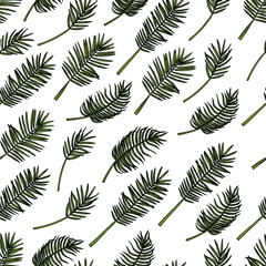 Hand drawn sketch style palm leaves seamless pattern. Color illustration with tropical leaves.