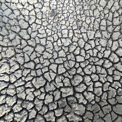 dry cracked earth
